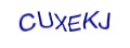 Loading captcha...